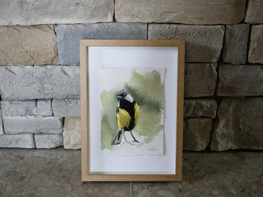 "Talgoxe" akvarellmålning