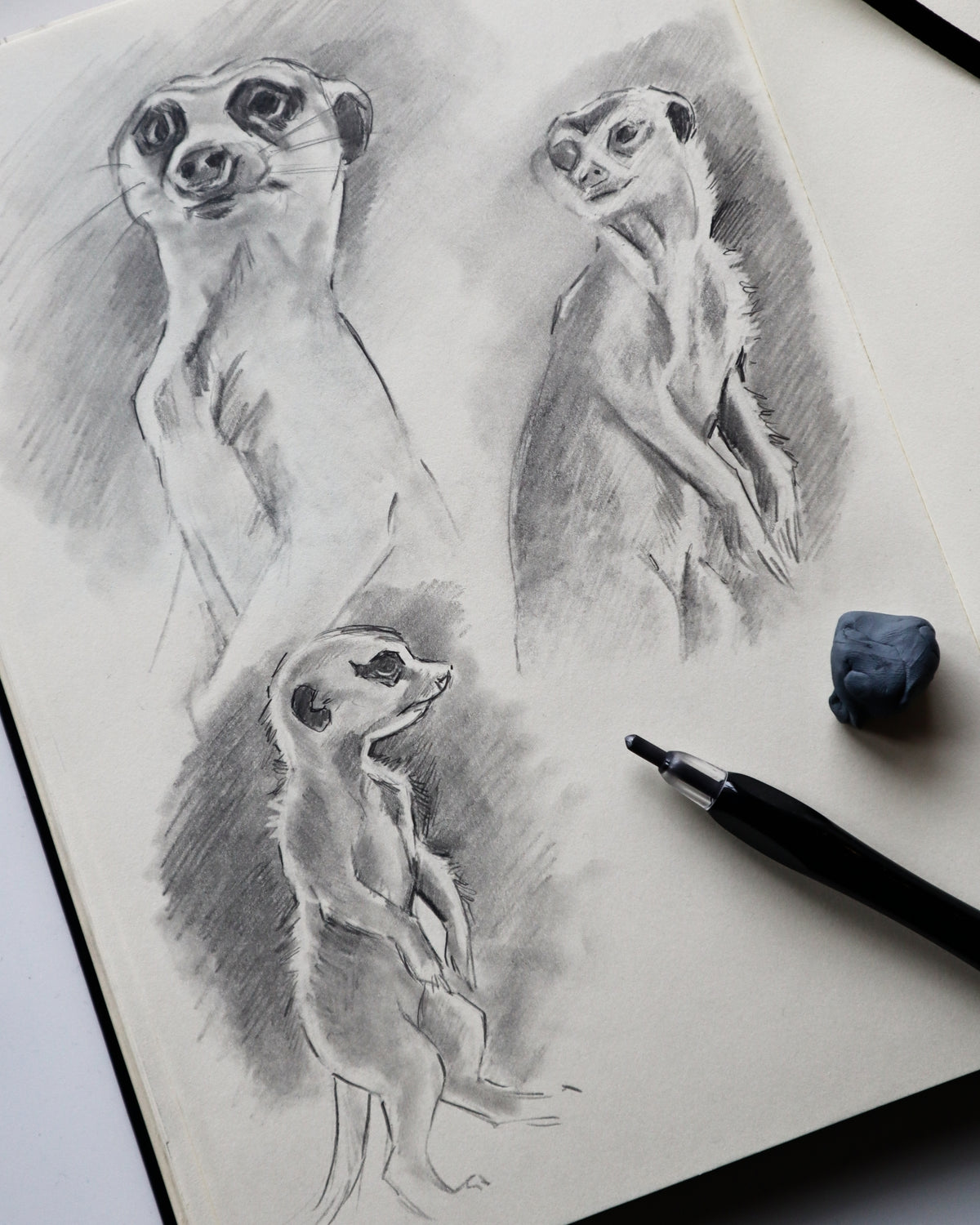 Basic Intense Animal Drawing Animal Drawing for Absolute Beginners – Louise Stigell