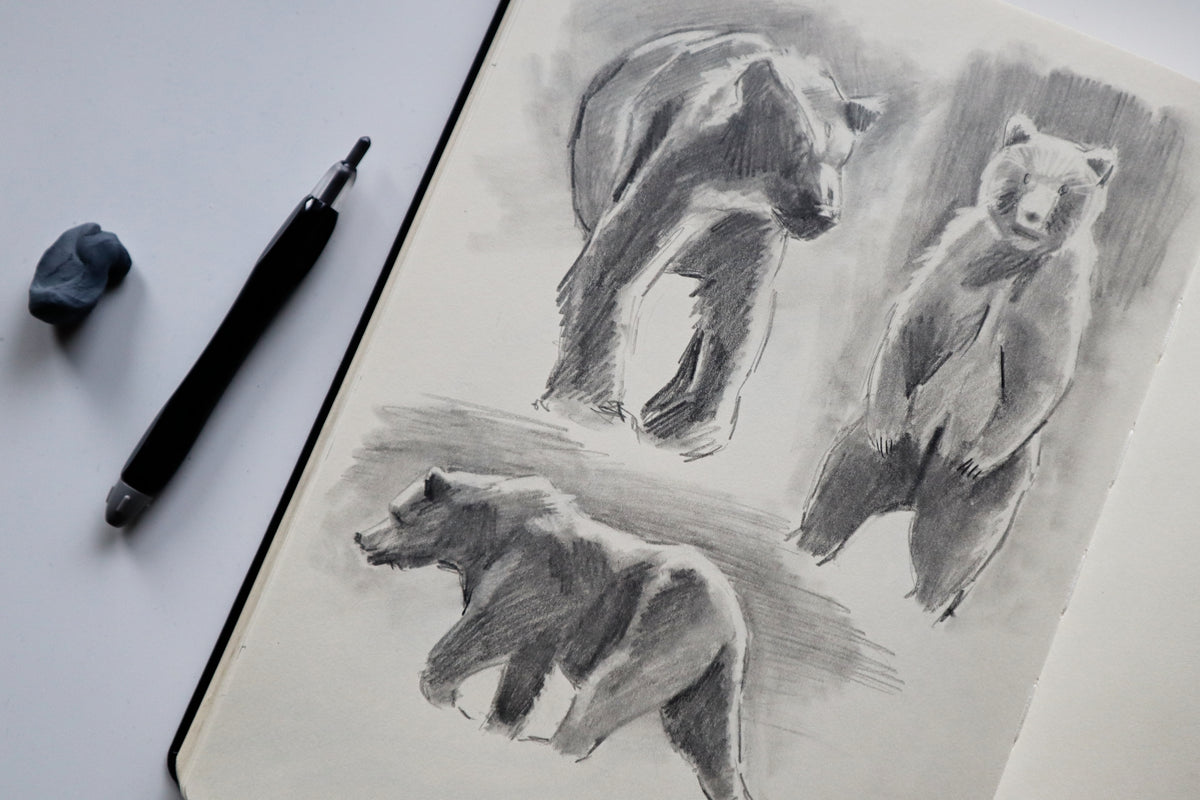 Basic Intense Animal Drawing Animal Drawing for Absolute Beginners – Louise Stigell
