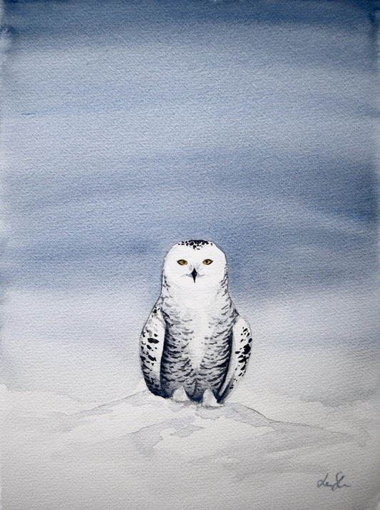 "Snowy owl" original watercolor painting