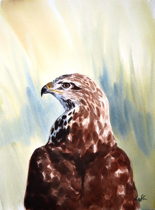 "Buzzard" original watercolor painting