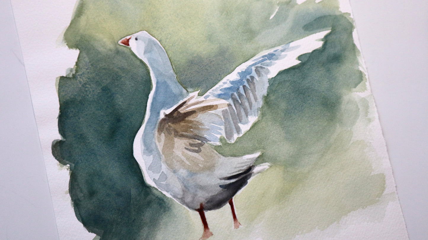 "Wingspan" original watercolor painting