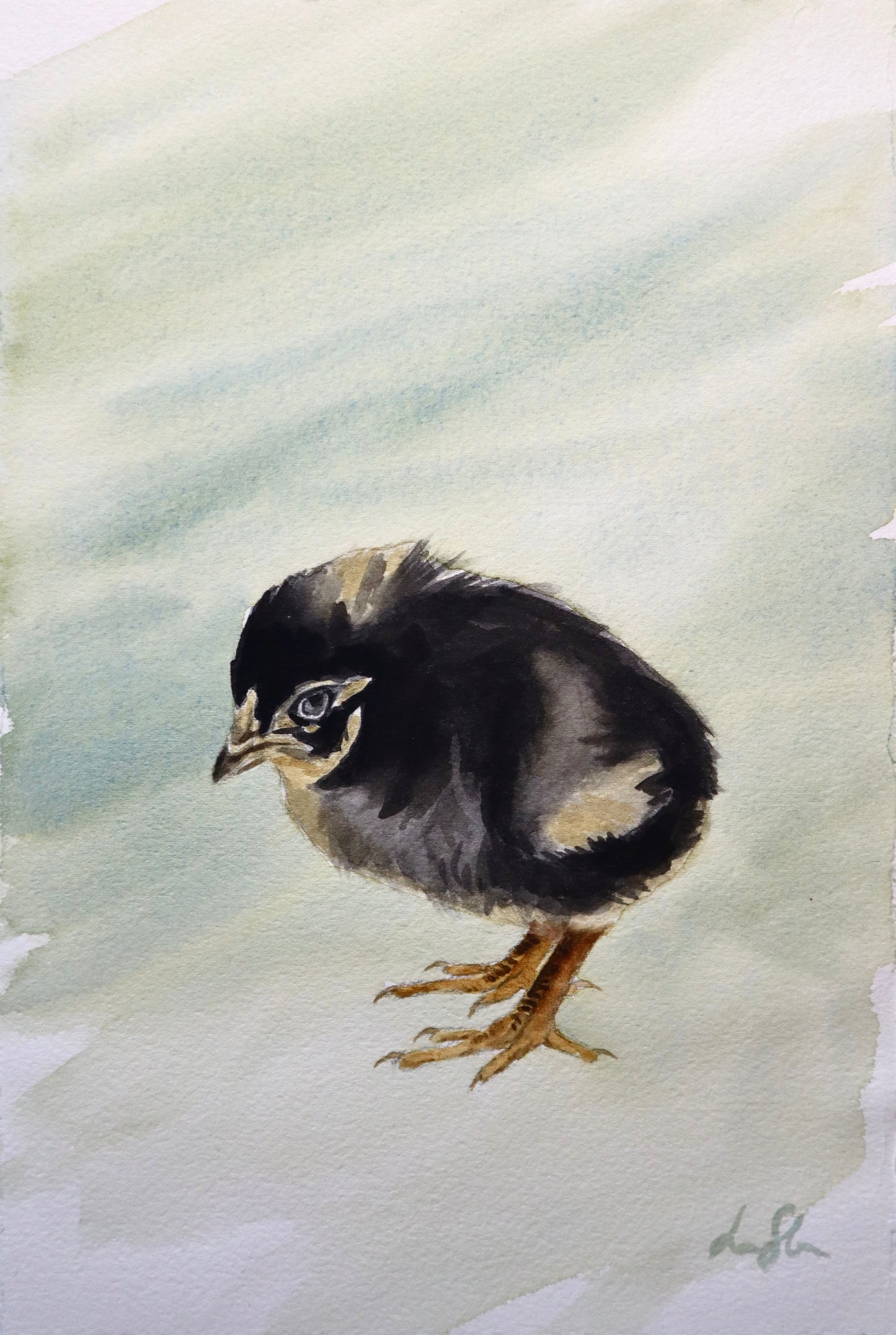 "Newly hatched" original watercolor painting
