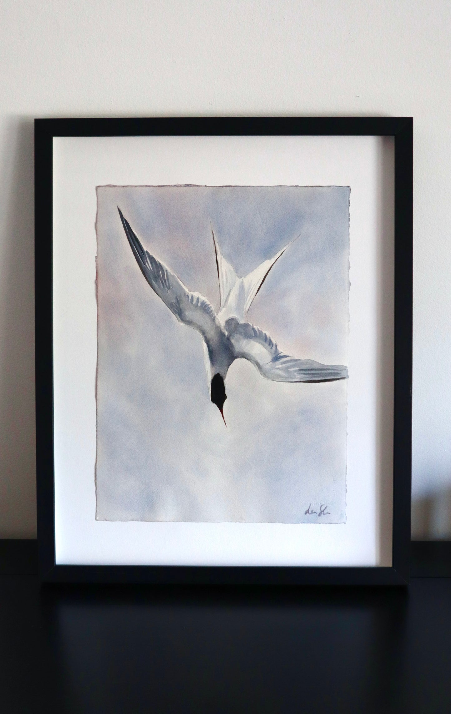 "Arctic tern" original watercolor painting