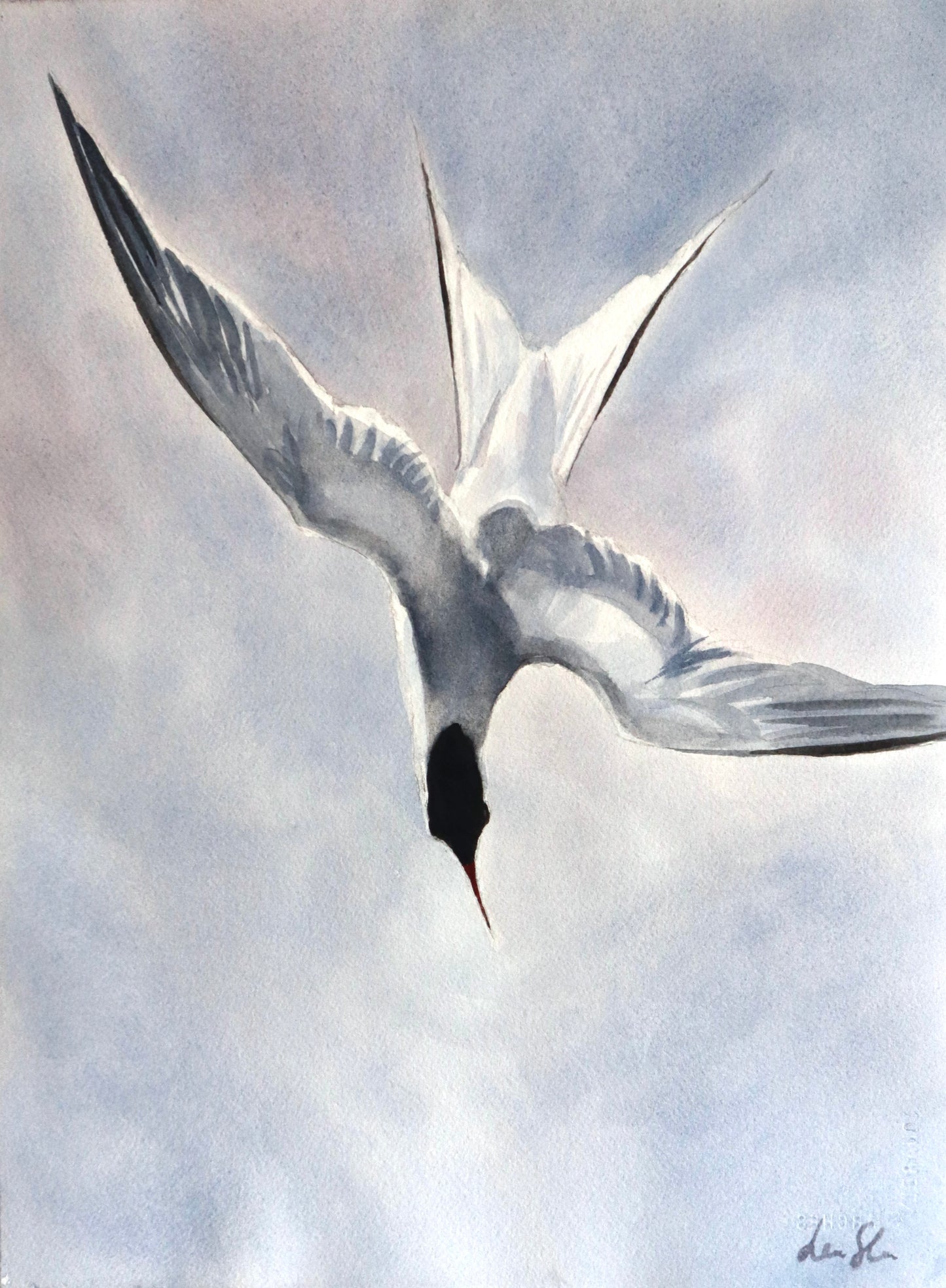"Arctic tern" original watercolor painting