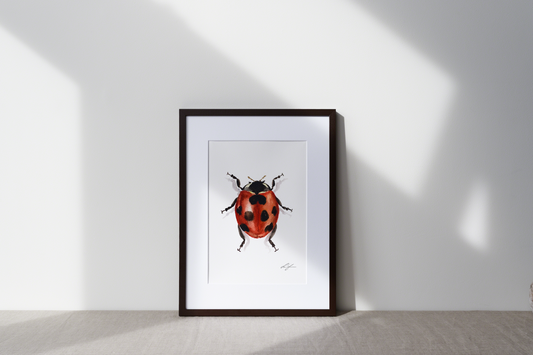 "Ladybug" fine art print