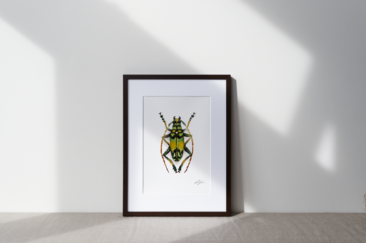 "Longhorned beetle" fine art print