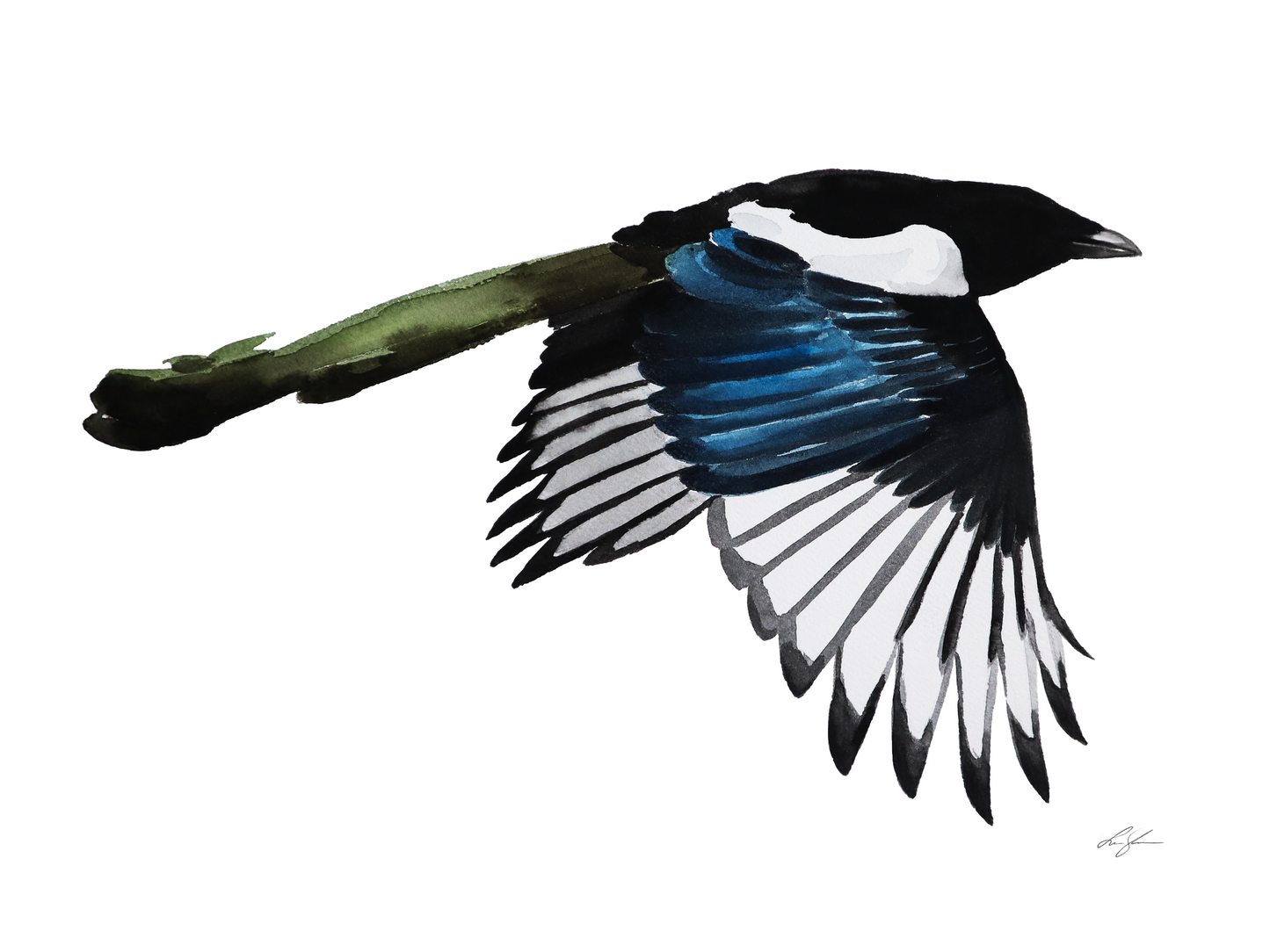 "Magpie 1" fine art print