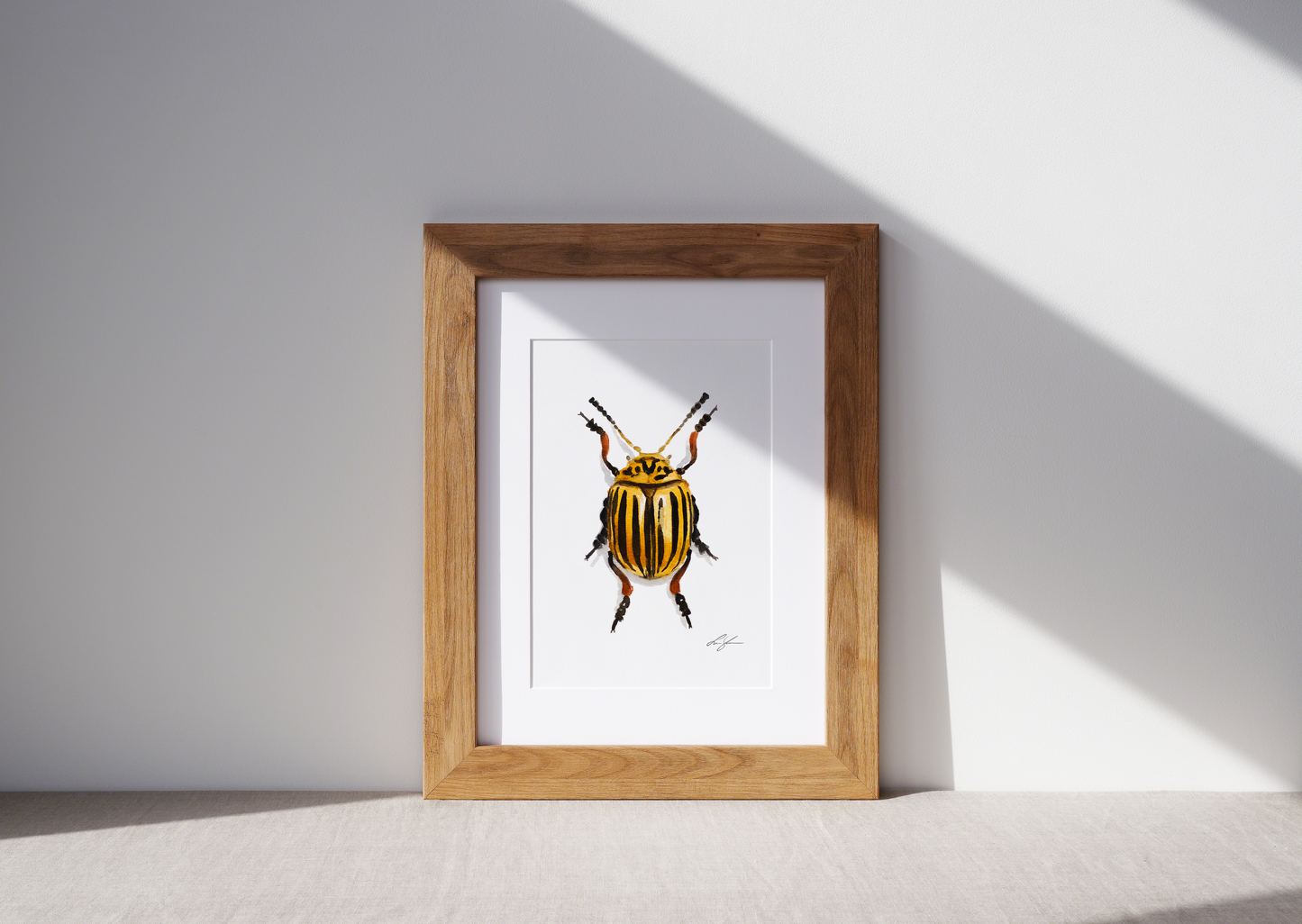 "Potato beetle" fine art print