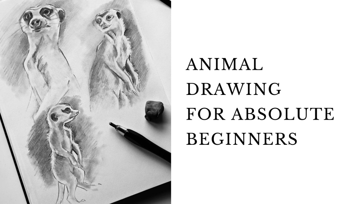 Basic Intense Animal Drawing Animal Drawing for Absolute Beginners – Louise Stigell