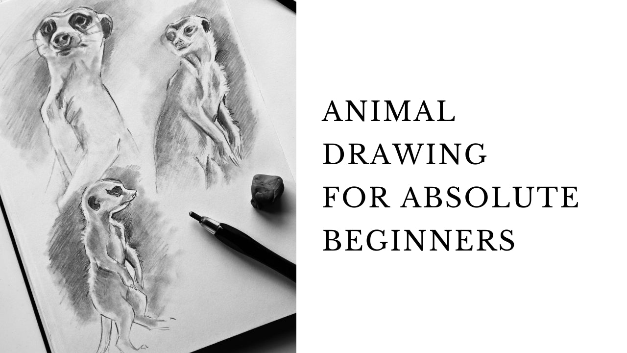 Animal Drawing for Absolute Beginners