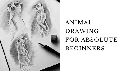 Animal Drawing for Absolute Beginners