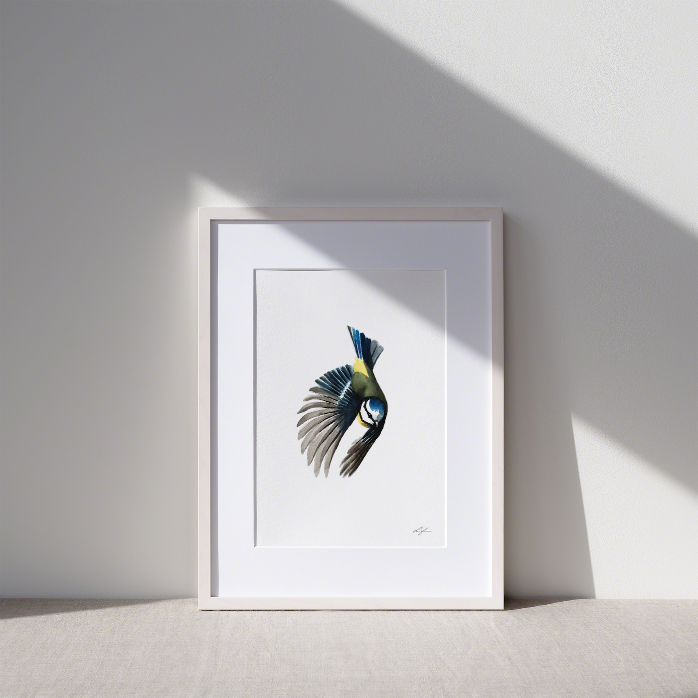 "Blue tit 1" fine art print