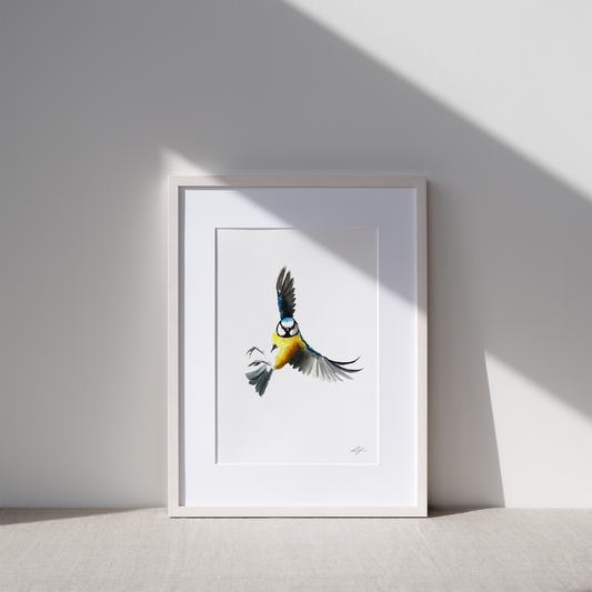 "Blue tit 2" fine art print